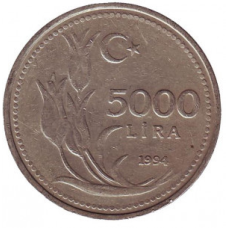 Монета 5000 лір. 1994,95 рік, Туреччина. (Г)
