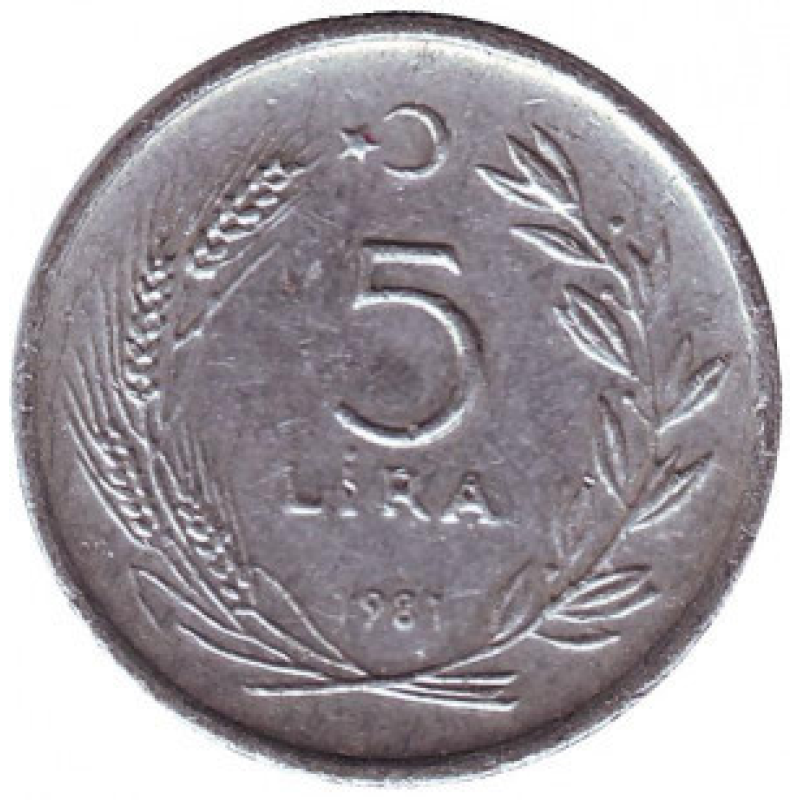 Монета 5 лір. 1981,83 рік, Туреччина. (Г)