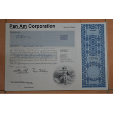Акція. США. 1990 рік №409848 (Р-1.3)