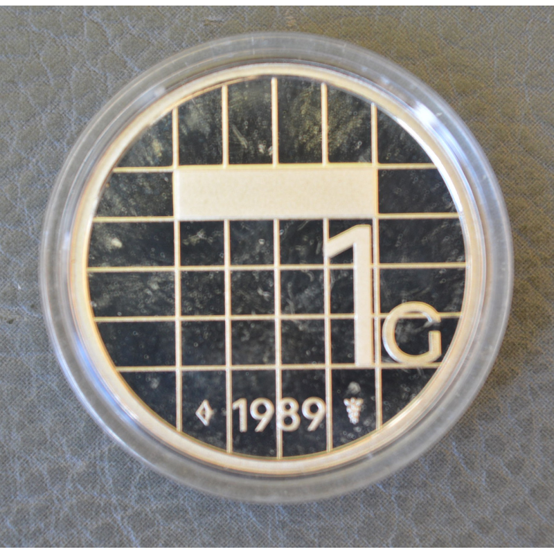 Монета 1 гульден. 1989 рік, Нідерланди. (капсула) ПРУФ Монета 1 гульден. 1989 рік, Нідерланди. (капсула) ПРУФ
