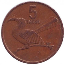 Птах-носоріг. Монета 5 тхебе. 1976-91 рік, Ботсвана.(АР)